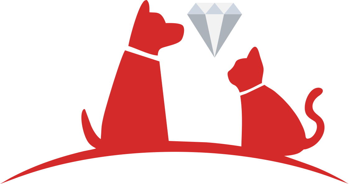 寵物用品 狗鍊 寵物項圈【Joylife】高雄寵物用品推薦 